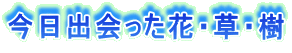 oԁEE